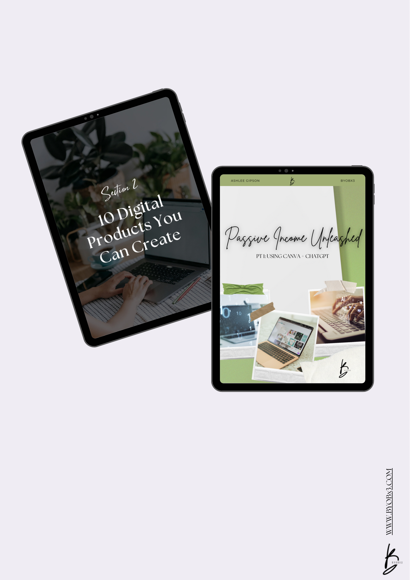 Passive Income Bundle (Digital Guide With MRR)